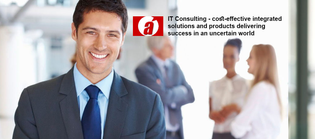 Information Technology Consulting